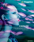 Caraibi